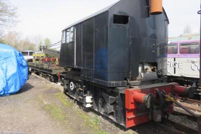 Photo of 80113