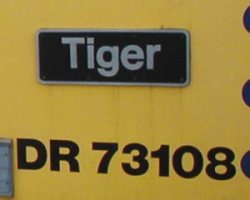image of Tiger nameplate