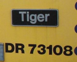 Tiger73108 image