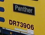 Panther73906 image