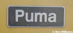 Puma73911 image