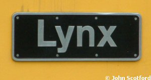 Lynx73912 image