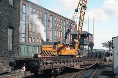Photo of DRC 80116