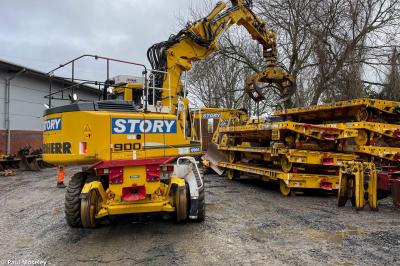 Photo of Story Plant 0991 99709940758 PY61VBC