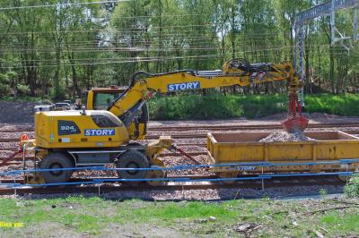Photo of Story Plant 1338 99709940948